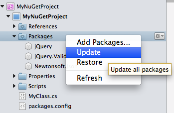 Solution window update all packages in project menu