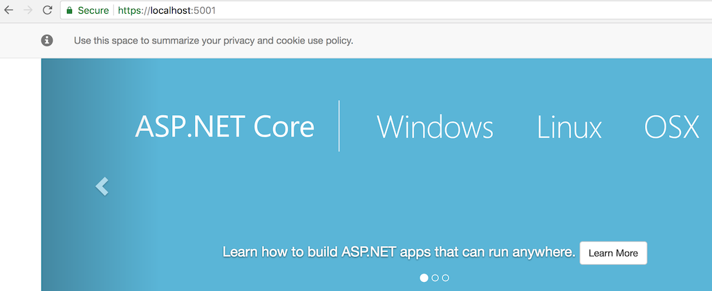 ASP.NET Core 2.1 project open in browser using HTTPS