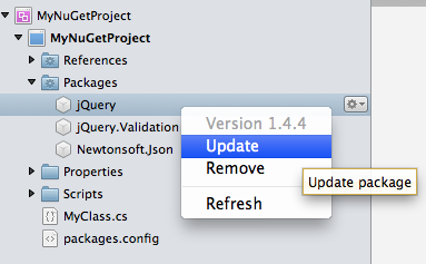 Solution window update package menu